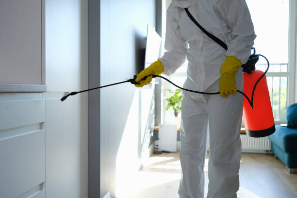 Best Attic Mold Removal  in Plainfield, NJ